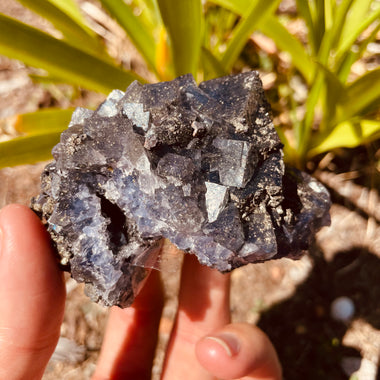 Fluorite changing colour Crystal Cluster cube with Pyrite Specimen 228 grams