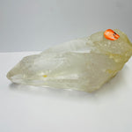 816 gram Natural Lemurian Quartz - Powerful Healing Crystal with Striated Patterns