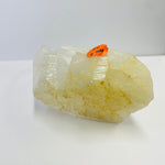 816 gram Natural Lemurian Quartz - Powerful Healing Crystal with Striated Patterns