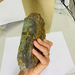 Very rare! Indonesian Opalised Petrified Wood 1,203 grams - Ai Ne