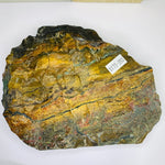 Very rare! Indonesian Opalised Petrified Wood 1,203 grams - Ai Ne